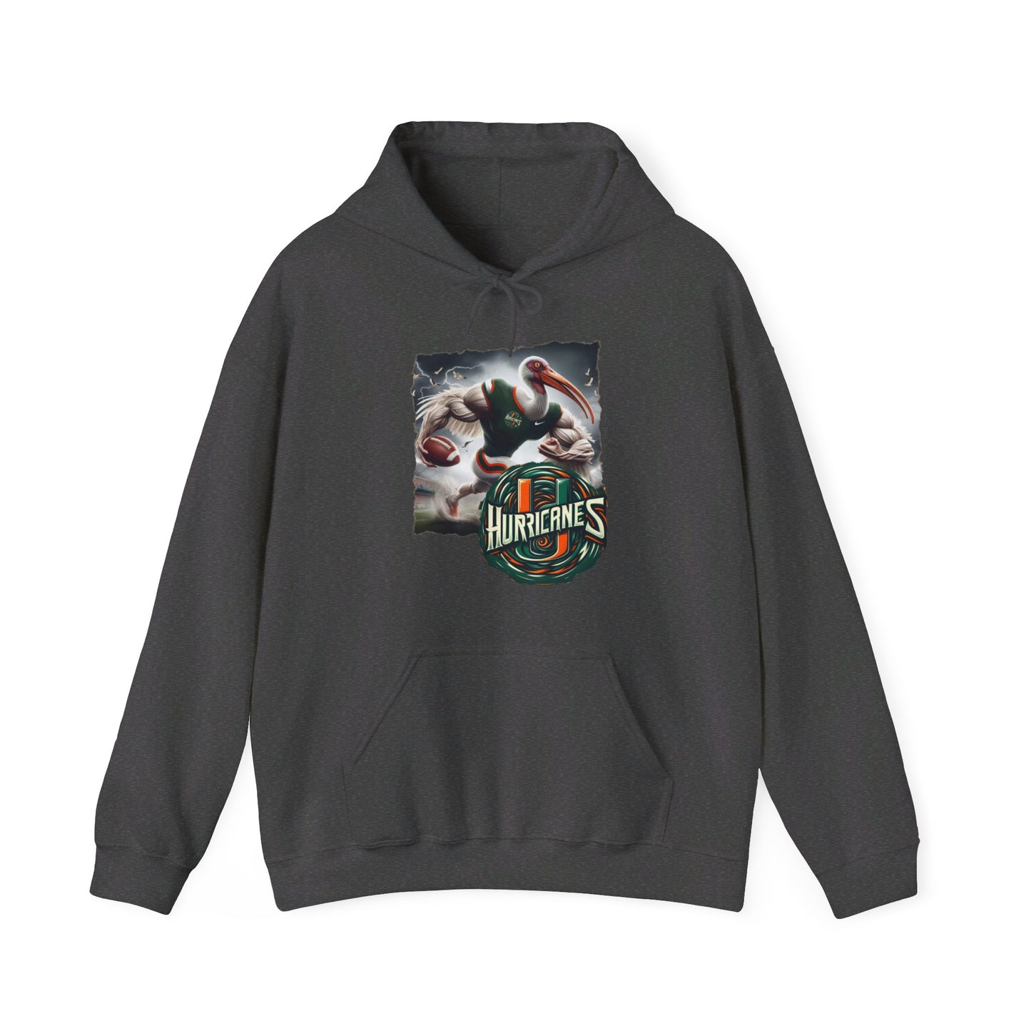 Miami Hurricanes Mens College Football Graphic Hoodie