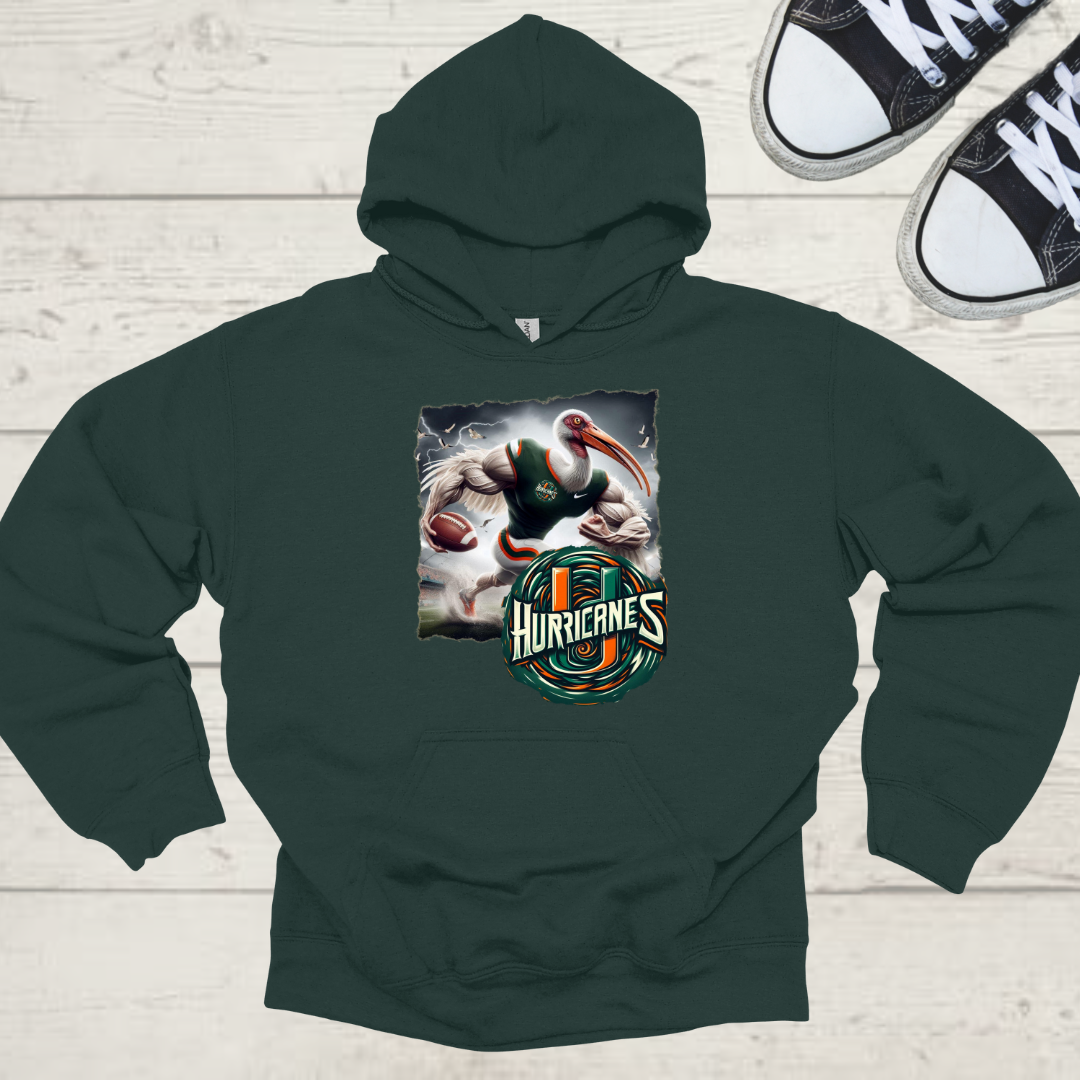 Miami Hurricanes Mens College Football Graphic Hoodie