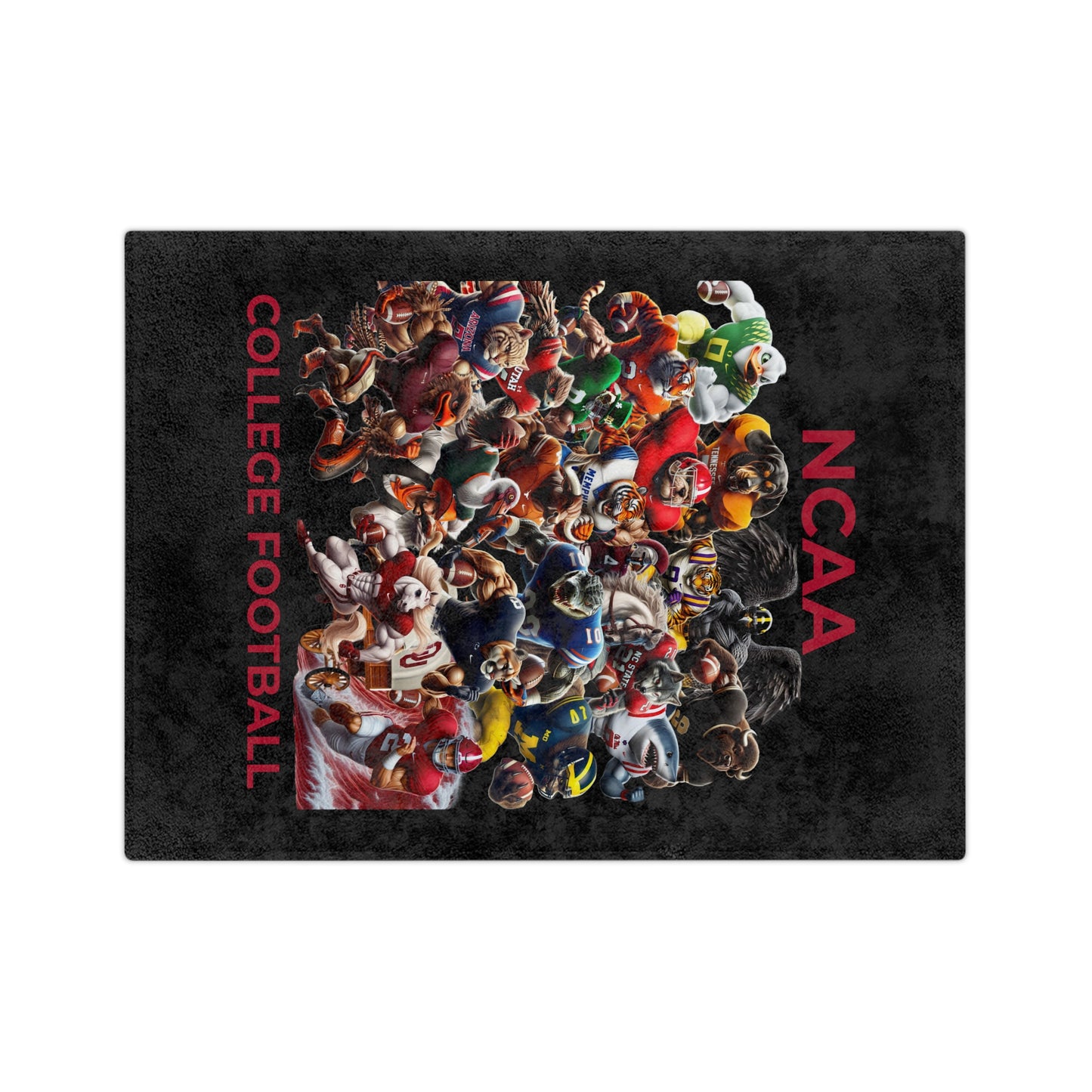 NCAA COLLEGE FOOTBALL Microfiber Blanket