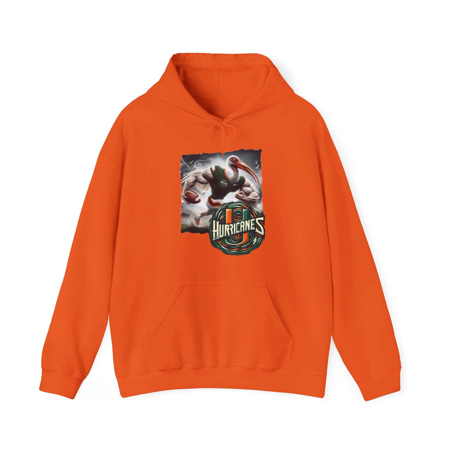 Miami Hurricanes Mens College Football Graphic Hoodie